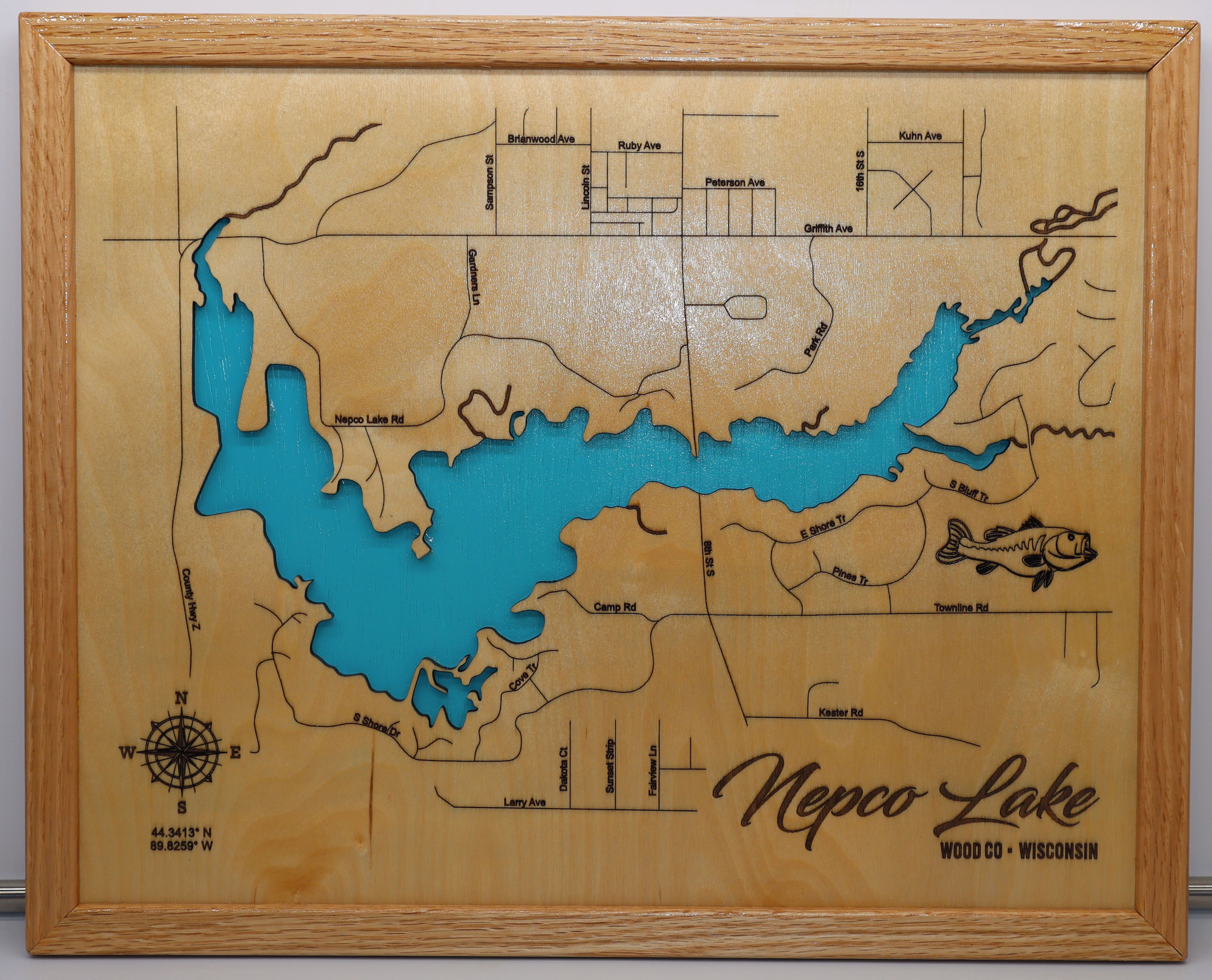 Lake Nokomis