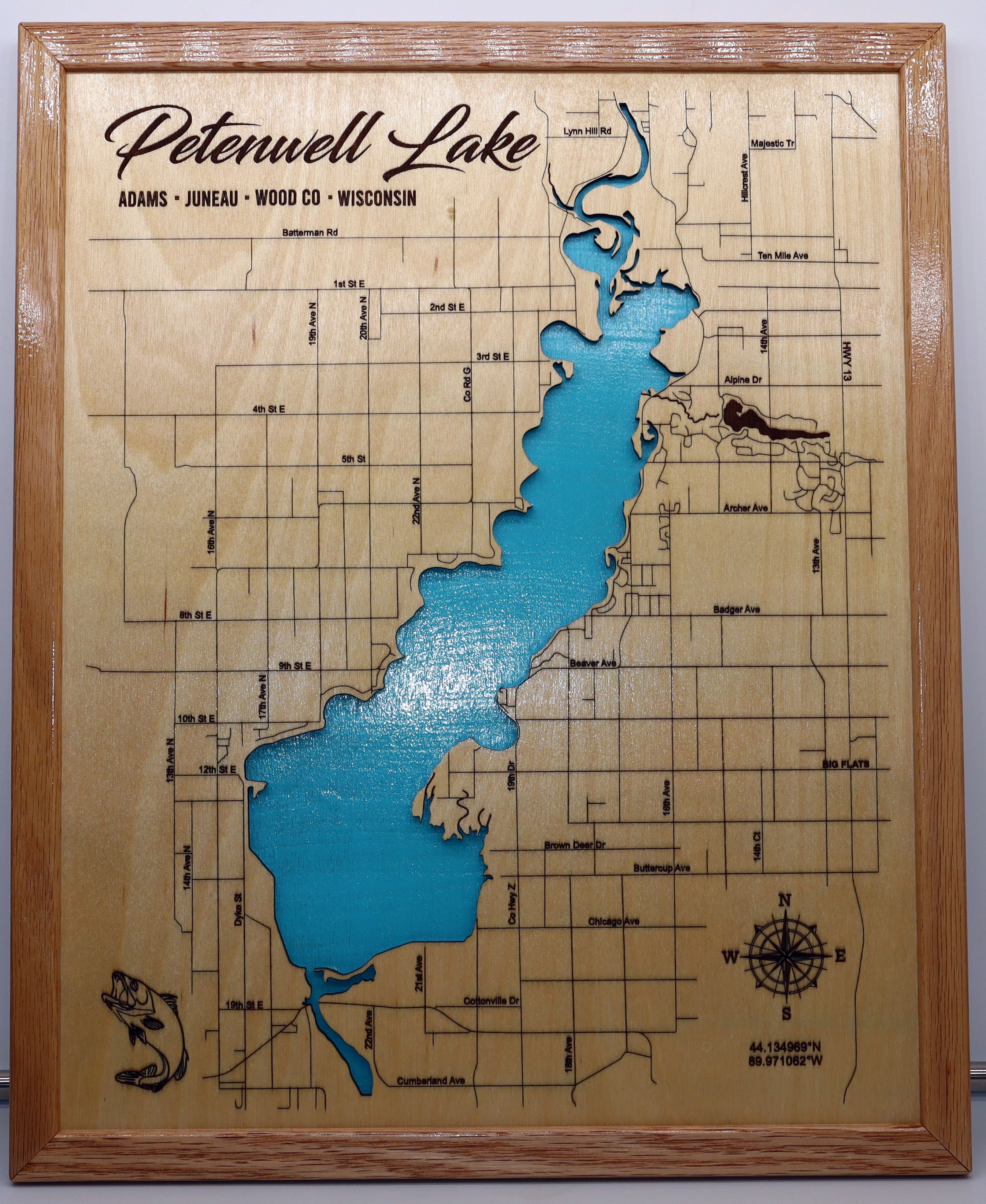 Petenwell Lake